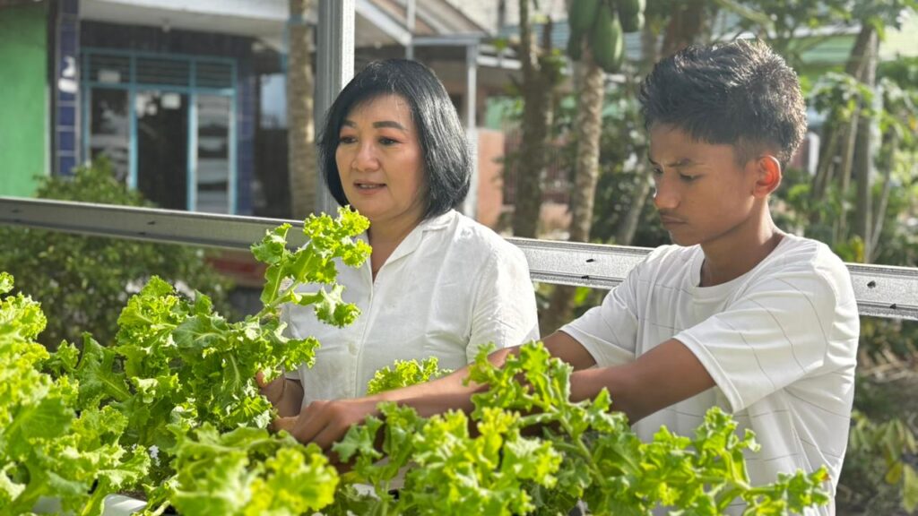Optimalisasi Program Pembinaan Kemandirian, Bapas Tarakan Kelola Hidroponik Selada dan Pokcoy di Griya Abhipraya