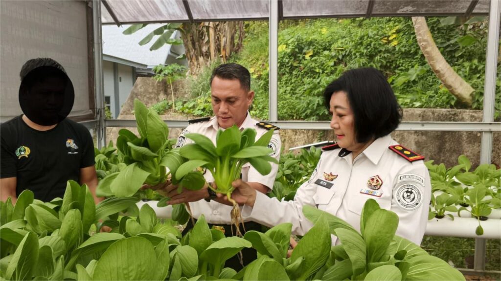 Kabapas Panen Pakcoy sebagai Pemenuhan Kebutuhan Pangan MBG dan Penguatan Swasembada di Lingkungan Bapas Tarakan