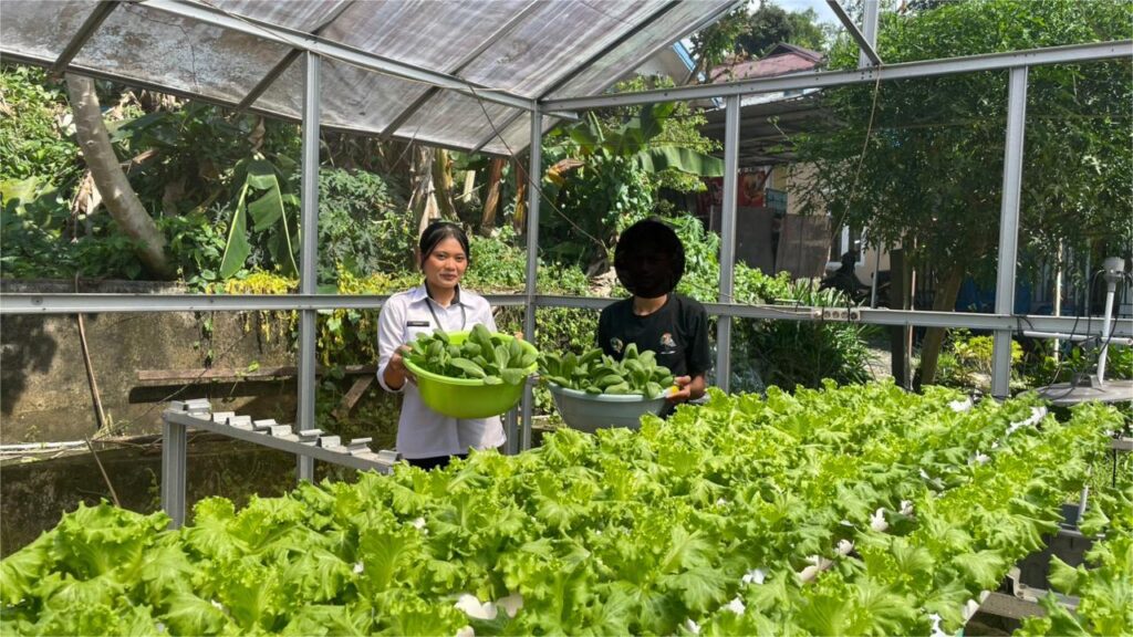 Optimalisasi Program Pembinaan Kemandirian, Bapas Tarakan Kelola Sayuran Hidroponik di Griya Abhipraya